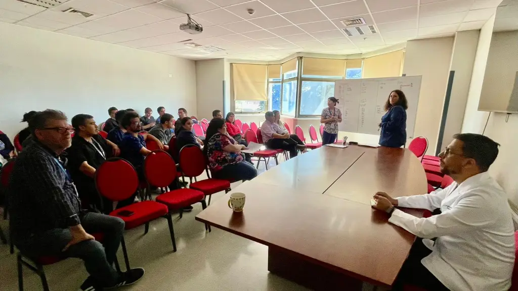 Reunión de equipos clínicos para llevar a cabo esta estrategia. , Servicio de Salud Biobio