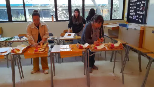 Elecciones 2024: Revisa los resultados preliminares de la elección a Gobernadores Regionales en la región del Biobío