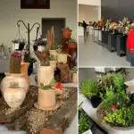 Tradicional muestra “Poemas y Flores” se expone en el Centro Cultural Municipal, La Tribuna