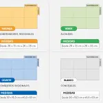 Colores que diferenciarán cada voto elecciones 2024, Diario La Tribuna