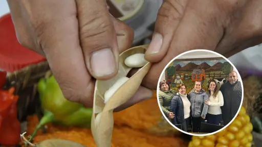 Iniciativa para la restauración agroecológica busca transformar territorios rurales en Chile