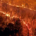 Alertan sobre desafíos en el Biobío a raíz del Día Mundial contra el Cambio Climático, Cedida