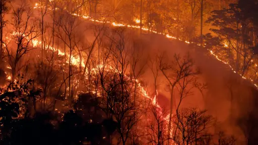 Alertan sobre desafíos en el Biobío a raíz del Día Mundial contra el Cambio Climático