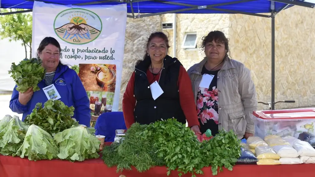 yumbel, Municipalidad de Yumbel