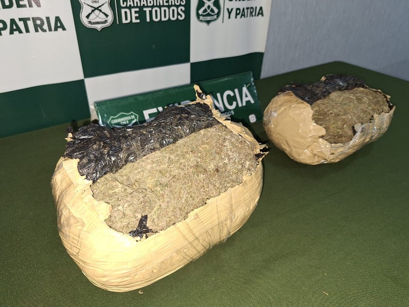 Decomiso de marihuana por Carabineros OS7 / Carabineros