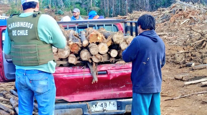 Robo de madera / Carabineros