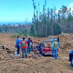 Robo de madera, Carabineros