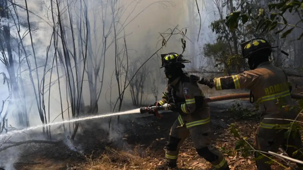 incendio forestal, internet