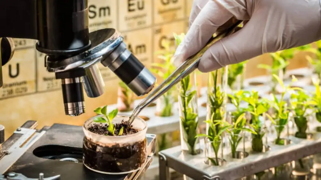 La biotecnología permite aportar al mejoramiento genético vegetal, en conjunto con universidades, productores agrícolas y empresas biotecnológicas.