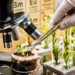 La biotecnología permite aportar al mejoramiento genético vegetal, en conjunto con universidades, productores agrícolas y empresas biotecnológicas.