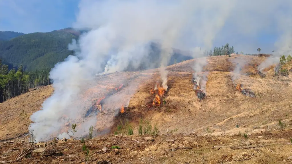 Prohíben quemas controladas en las provincias de Concepción y Biobío debido a condiciones climáticas, Cedida