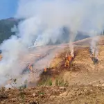 Prohíben quemas controladas en las provincias de Concepción y Biobío debido a condiciones climáticas, Cedida