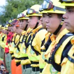 Incendios forestales, La Tribuna