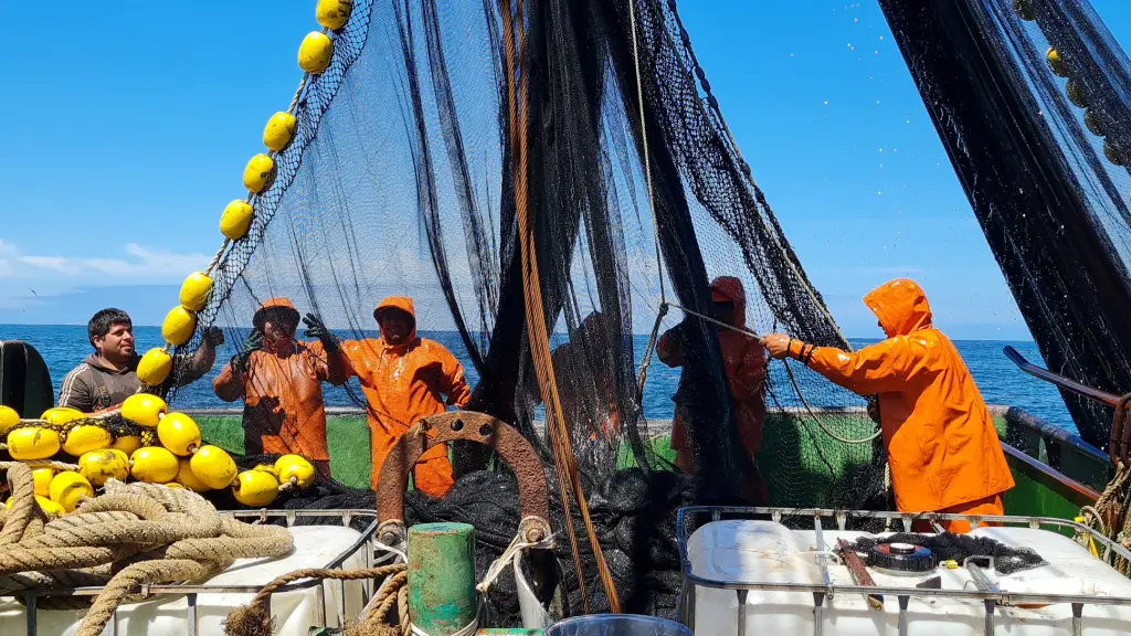 El proyecto de fraccionamiento presentado por el Gobierno modificaba la cuota de merluza en un 5%, pero salió de la Comisión de Pesca con un porcentaje de 50% y aprobándose así en la Cámara de Diputados.