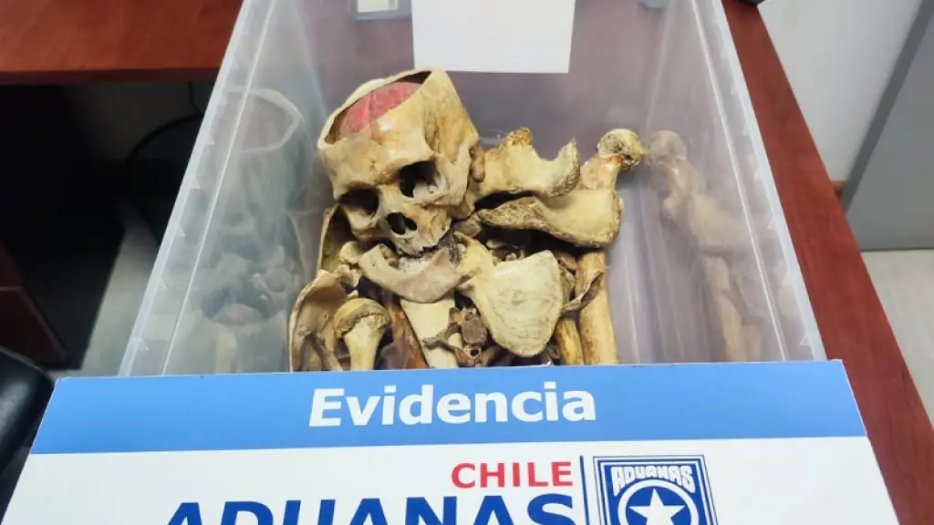 Osamentas humanas, Redes sociales