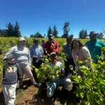 Viñateros de Millapoa se profesionalizan con nueva Escuela de Vitivinicultura en Nacimiento, Cedida