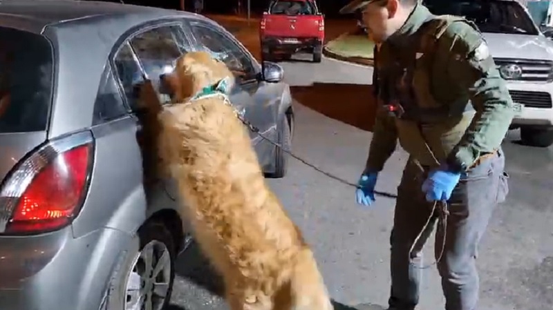 Operativo antidrogas del OS7 / Carabineros