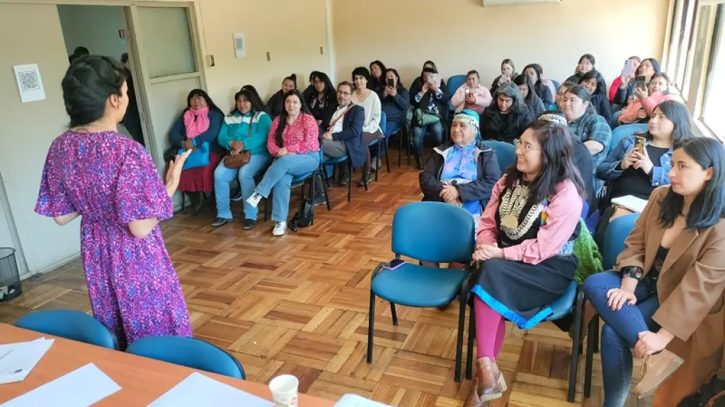 Capacitación a mujeres por violencia contra la mujer, Cedidas