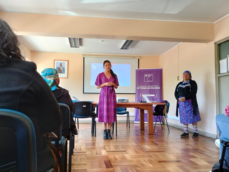 Capacitación a mujeres por violencia contra la mujer / Cedidas