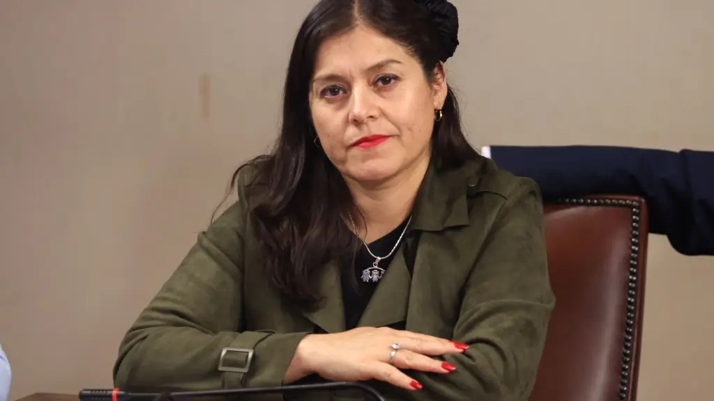 La diputada Karen Medina se refirió a la ley que regula los narcofunerales.