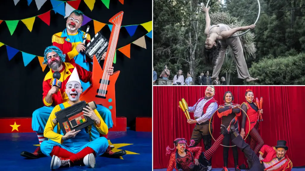 El Festival CIRCO EN MOVIMIENTO llega a Biobío con talleres acrobáticos y malabares para todas las edades, Cedida