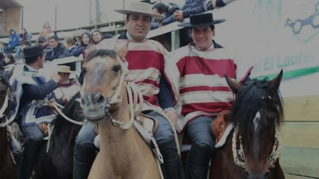 Zúñiga y Arredondo fueron los grandes triunfadores del Zonal Sur , Corrales de Carito