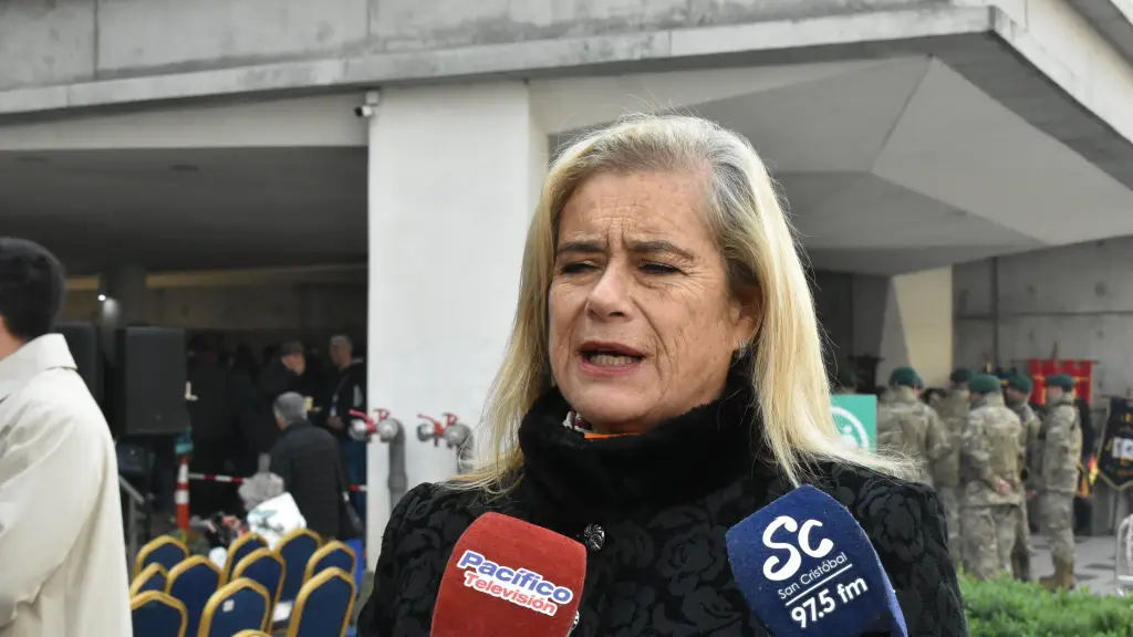 Diputada Flor Weisse pidió reforzar la seguridad en colegios de Los Ángeles.