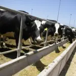 En el mediano y largo plazo, las perspectivas para el sector son positivas a pesar de los desafíos e incertidumbre geopolítica y la disminución en la tasa de crecimiento y el envejecimiento de la población mundial.