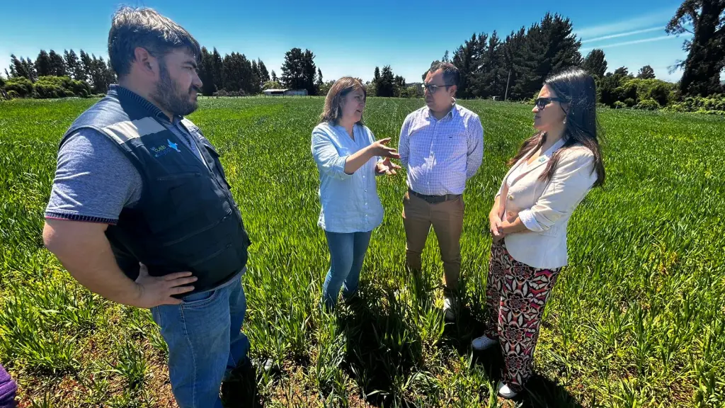 Podrán postular mujeres dedicadas a la pequeña agricultura de la región., Seremi de Agricultura del Biobío.