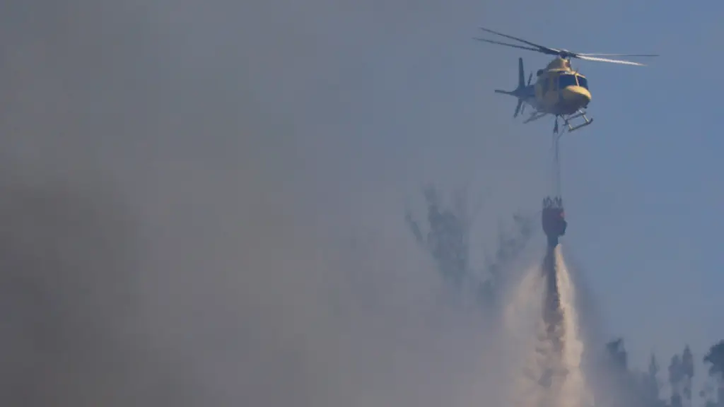 Incendios forestales, Web