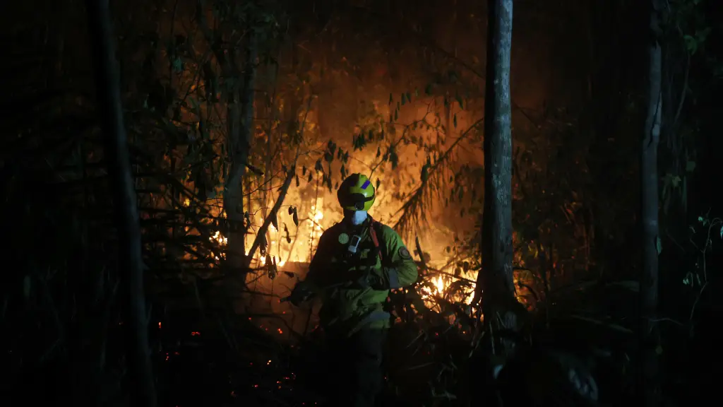 Las condiciones meteorológicas en seis comunas de la provincia de Biobío incrementan el riesgo de incendios forestales., Cedida