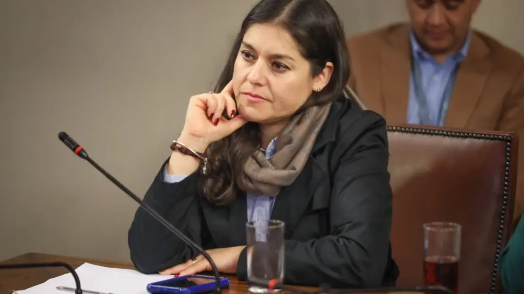 Medina emplazó a la ministra de la Mujer y Equidad de Género a tomar cartas en el asunto y a proporcionar todos los recursos necesarios para enfrentar esta crisis de violencia.