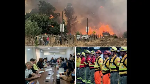 Biobío mantiene alto riesgo de incendios forestales pese a positivas cifras actuales 