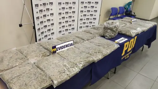 Cuatro integrantes de banda narco detenidos en operativo: Se decomisaron 230 millones en drogas