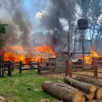 Incendio en Monteáguila, Bomberos