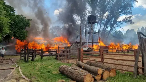 Cabrero: Investigan origen de incendio que destruyó 26 pesebreras y vehículos en Monteáguila