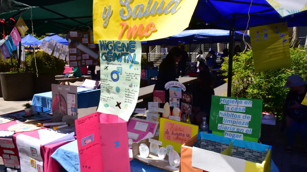 Feria de la Salud del Colegio Aliwen., La Tribuna