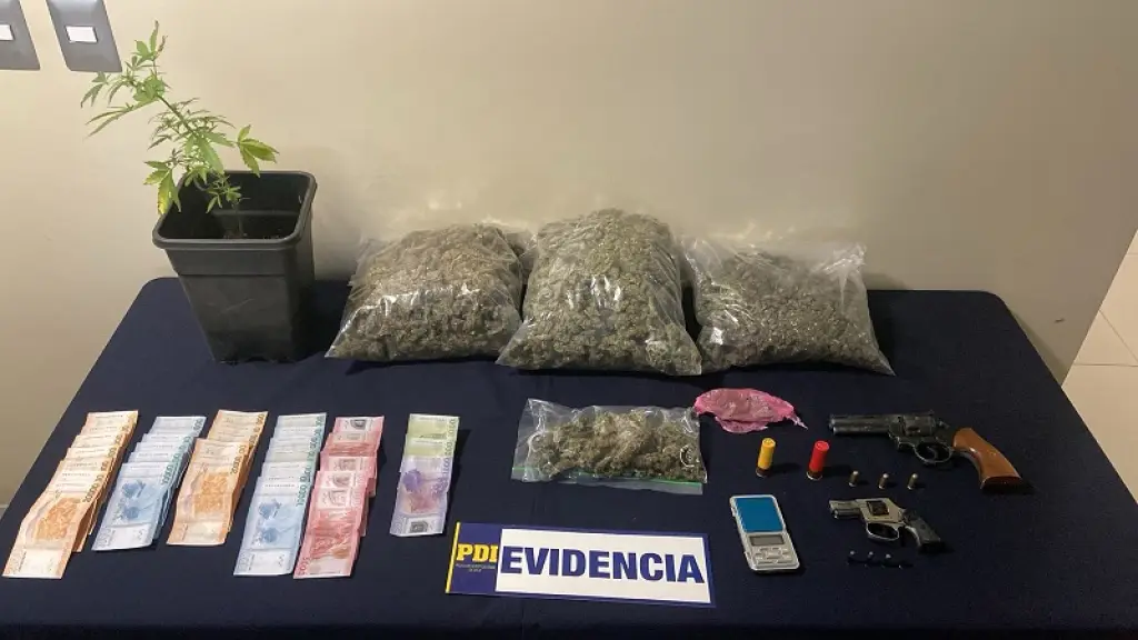 Incautación de drogas y armas, PDI