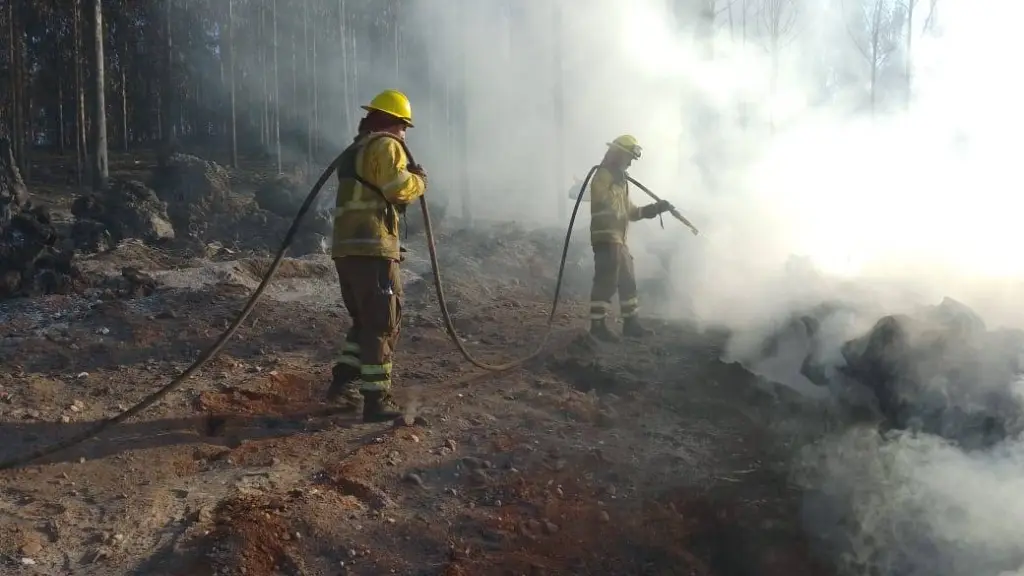 Activan Botón Rojo en seis comunas de la provincia de Biobío ante alto riesgo de incendios forestales, La Tribuna