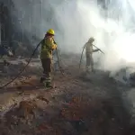 Activan Botón Rojo en seis comunas de la provincia de Biobío ante alto riesgo de incendios forestales, La Tribuna