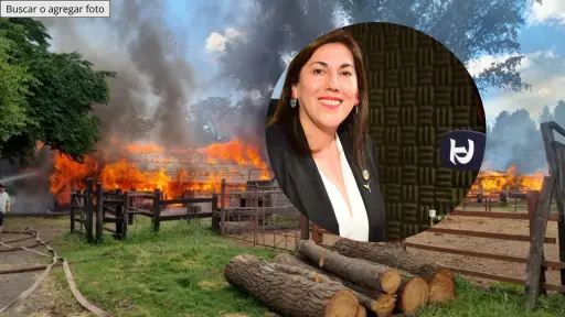 Delegada presidencial (s) llama a la ciudadanía a denunciar incendios intencionales: Nuestro gobierno los va a perseguir