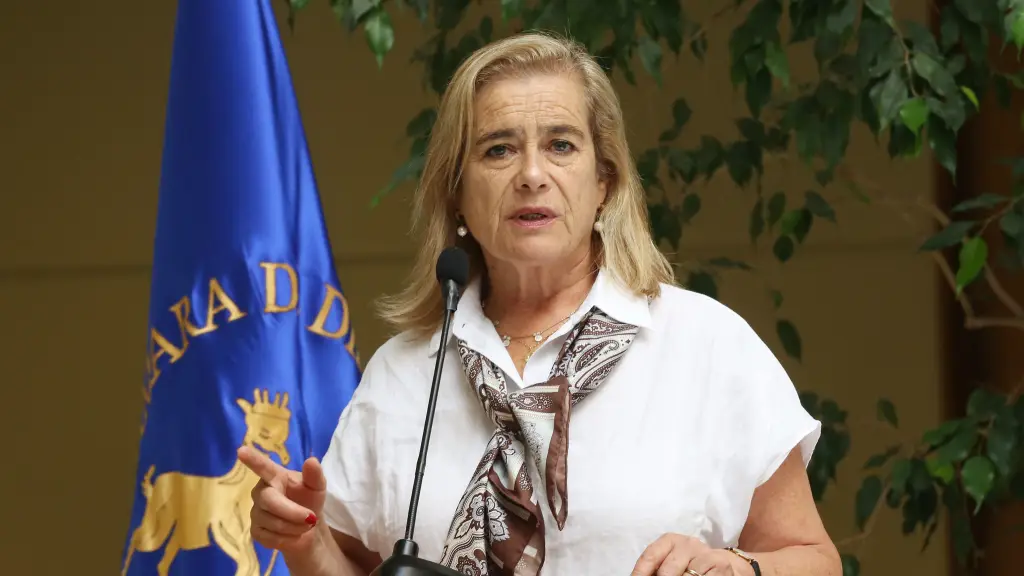 La diputada llamó a que se colabore transversalmente en la creación de una política integral de seguridad.