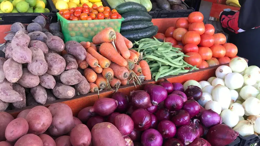 Los costos de producción para los productores de hortalizas siguen incrementando, debido a que los insumos agrícolas que utilizan son importados.