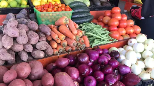 Productores alertan sobre el impacto de los altos costos pese a la baja en precios de hortalizas