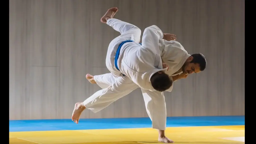 Este sábado se realizará el Campeonato Nacional de Judo , Cedida