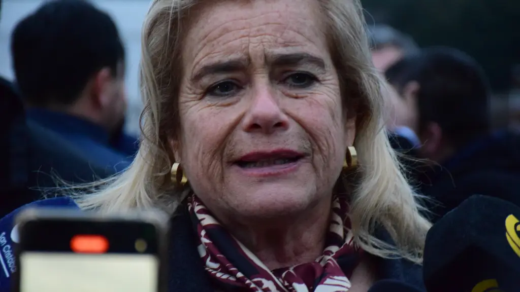 La diputada instó a que se traspasen los recursos a los Gobiernos Regionales y a las organizaciones sociales que trabajan en los territorios.