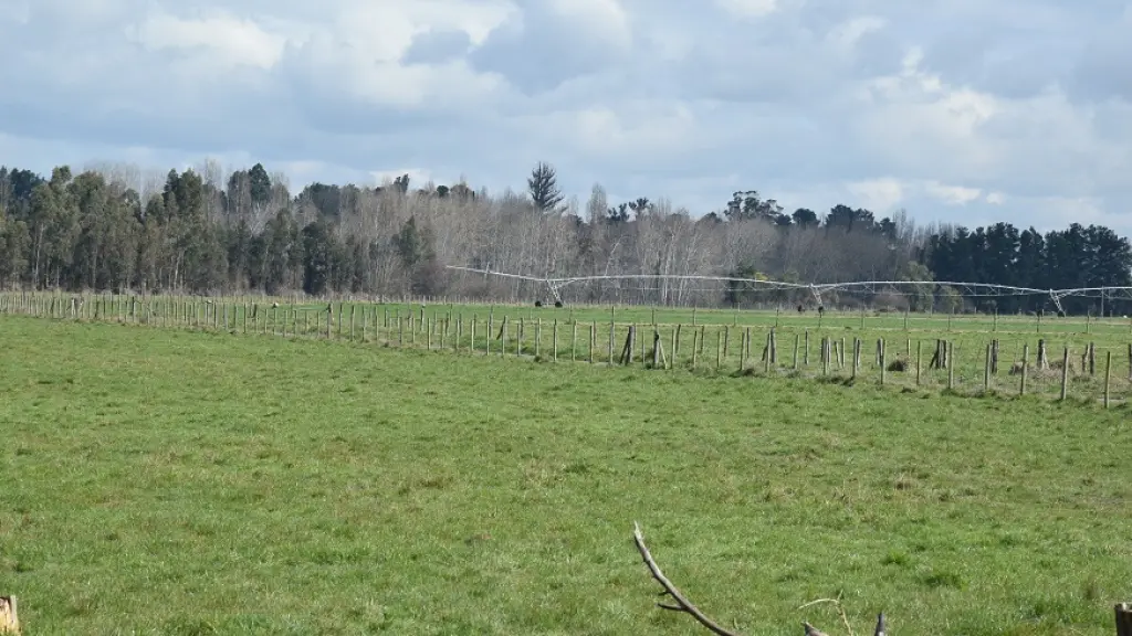 Localidad rural, Archivo La Tribuna