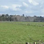 Localidad rural, Archivo La Tribuna