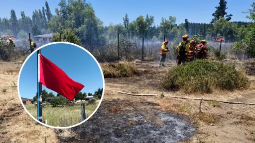 AHORA: Incendio en Saltos del Laja activa medidas preventivas extremas con banderas rojas