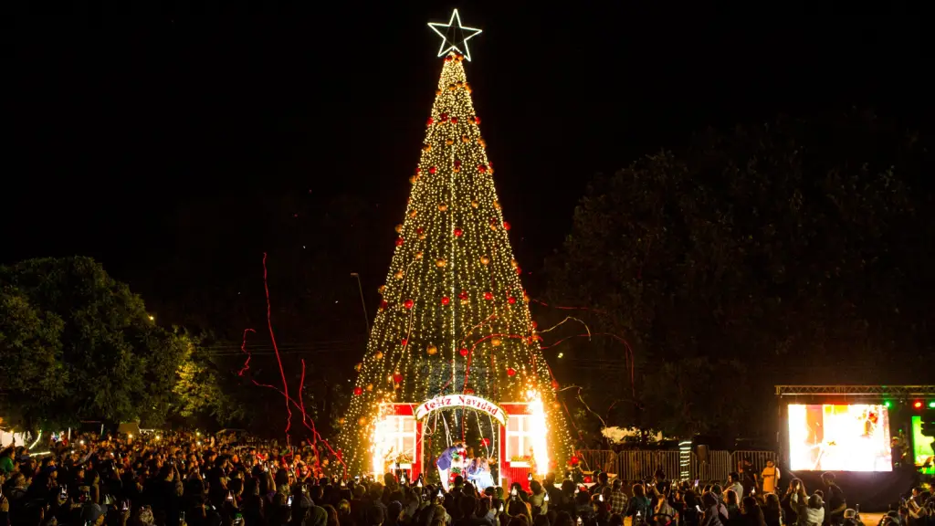 encendido de pino navideño , municipalidad de Laja
